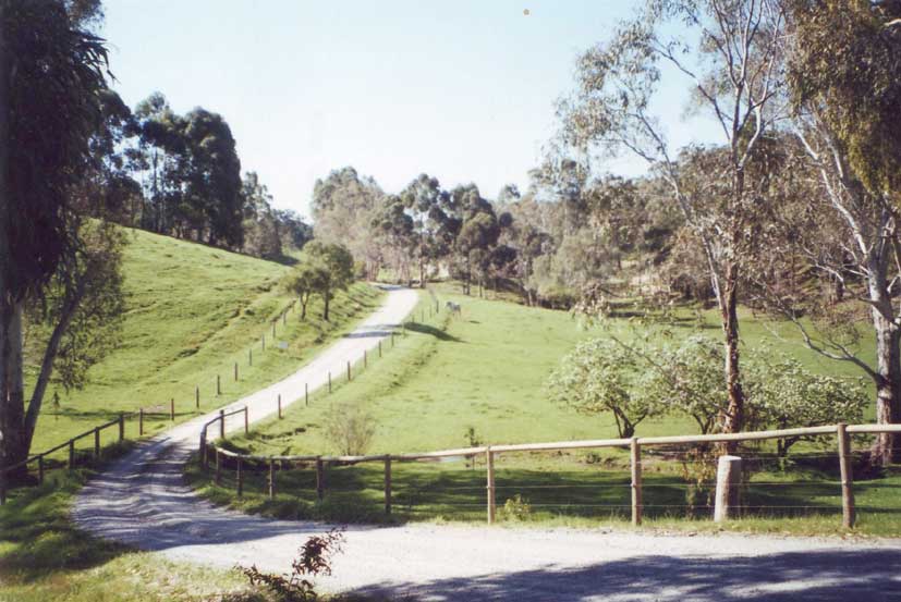 Road To Property Web.jpg (67817 bytes)